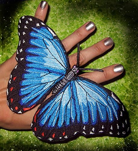 Епски живот со големина на сина морфо пеперутка Морфо Пелеиди железо на лепенка шива на апликација